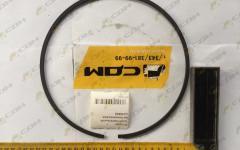 Кольцо уплотнительное металлическое d=235 CDM860