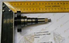 Плунжерная пара Howo X170-010S